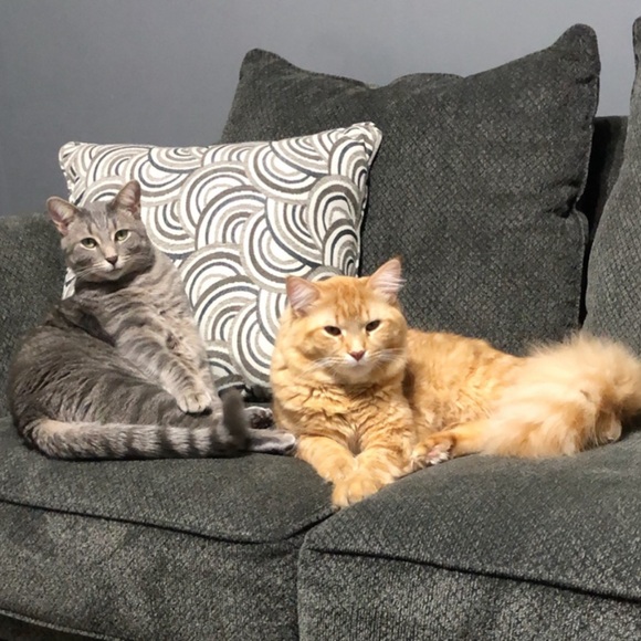 • Wanderlust_wrb is LIVE • Share Show • Like This Listing To Be Notified • - Picture 7 of 11